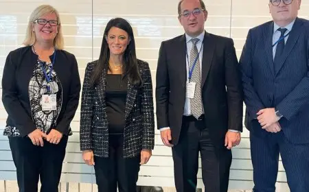 محفظة ضمانات ميجا تتجاوز 700 مليون دولار للقطاع الخاص المصري والأجنبي