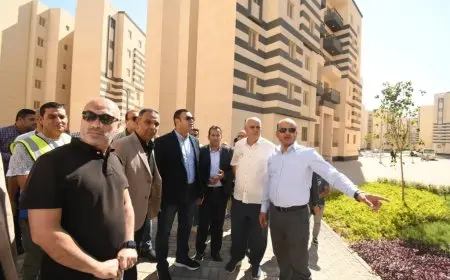 تفقد وزير الإسكان وحدات سكن لكل المصريين بمدينة العاشر من رمضان ضمن المبادرة الرئاسية