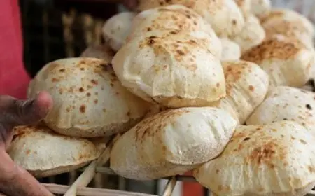 وزير التموين يؤكد الثبات على سعر رغيف الخبز البلدي المدعوم رغم زيادة أسعار السولار