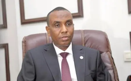 رئيس حكومة الصومال يؤكد أهمية دور مصر في تعزيز الاستقرار الوطني