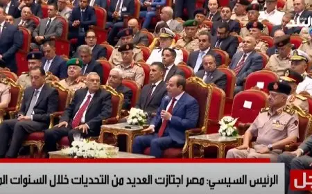الرئيس السيسي يكشف تكلفة الحرب على الإرهاب خلال العقد الماضي 100 مليار جنيه
