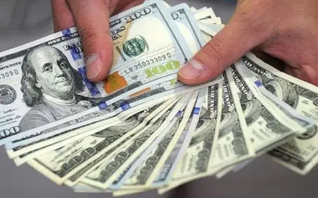 هبوط الدولار 3 قروش أمام الجنيه في ختام تعاملات الأحد