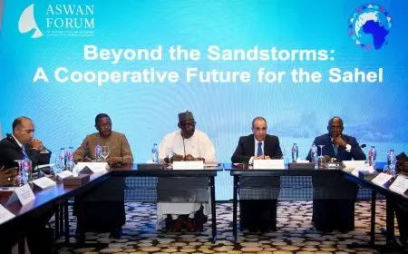 وزير الخارجية يكشف تأثير بعثات الأزهر في تعزيز قيم التسامح والسلام في إفريقيا