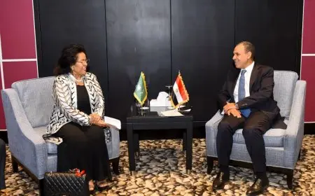 جهود دبلوماسية مصرية نشطة لتحقيق هدنة إنسانية في السودان