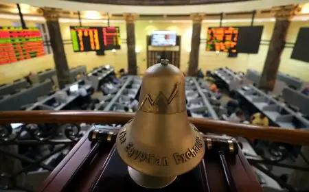 برنامج الطروحات الحكومية يضم 52 شركة وخبير اقتصادي يكشف التفاصيل المثيرة