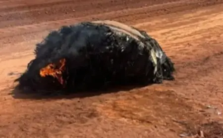 جسم غريب يسقط من الفضاء ويكتشف في صحراء أستراليا