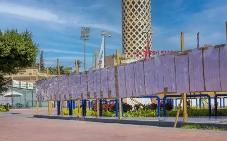 استعدادات انتخابات الأهلي تنطلق بتعليق كشوف العضوية في 31 أكتوبر