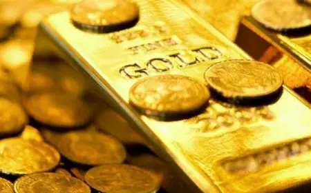 سونيا الحبال تكشف عن رموز الثروة في حلمها البحر الهادي والذهب والفلوس