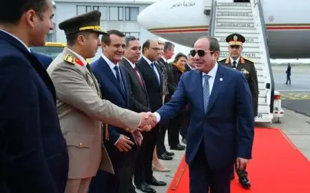 زيارة الرئيس السيسي إلى بروكسل تتضمن لقاءات هامة وكلمات مؤثرة