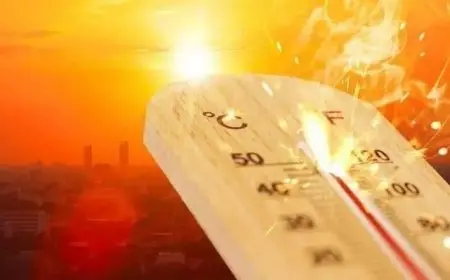 الأرصاد الجوية تحذر من ارتفاع درجات الحرارة غدا مع توقعات بشبورة كثيفة على الطرق