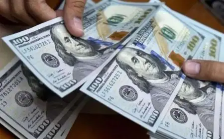 أسعار الدولار مقابل الجنيه المصري اليوم الأربعاء في البنوك الحكومية والخاصة