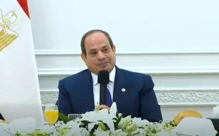 الرئيس السيسي يرحب بنائبة رئيسة المفوضية الأوروبية في زيارة مهمة