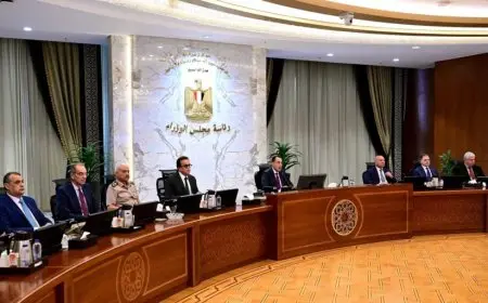 مجلس الوزراء يعلن عن إجراءات جديدة لتعزيز الاستثمار والصناعة والإسكان وقطاع النقل