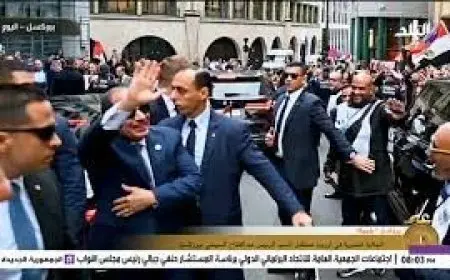 أحمد موسى يبرز ملحمة وطنية للمصريين في استقبال الرئيس السيسي ببروكسل