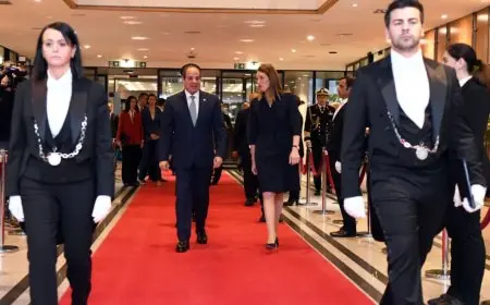 الرئيس السيسي يجتمع برئيسة البرلمان الأوروبي في بروكسل لتعزيز التعاون الدولي