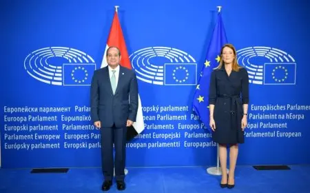 الرئيس السيسي يؤكد ضرورة تعزيز التعاون الأوروبي والمصري لخلق فرص عمل جديدة للعمالة