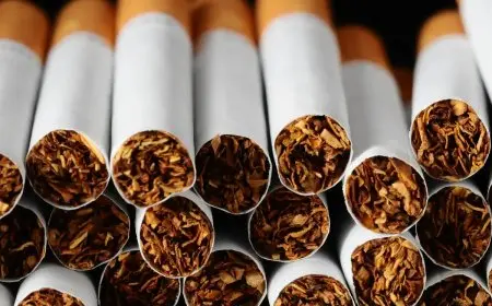 أسعار السجائر المحلية والأجنبية في 23 أكتوبر 2025 تحديث شامل وجديد