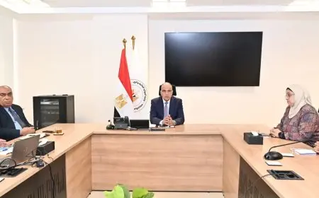 وزير الموارد المائية والري يراقب تقدم التحول الرقمي في إطار الجيل الثاني لمنظومة الري 2.0