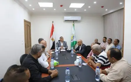 محافظ الجيزة يضاعف جهود النظافة استعدادا لافتتاح المتحف المصري الكبير