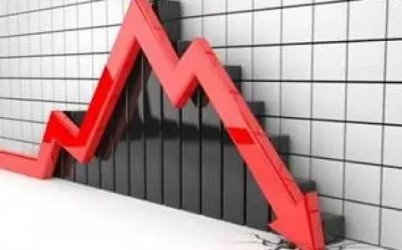 خبراء الاقتصاد يكشفون عن بدائل شهادات الادخار بعد انخفاض سعر الفائدة في مصر