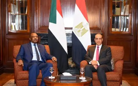 وزير الخارجية المصري يناقش تطورات الأوضاع في الفاشر مع نظيره السوداني ويؤكد دعم مصر للشعب السوداني