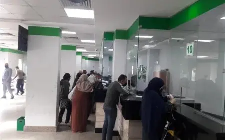 كل ما تحتاج معرفته عن موعد صرف معاشات شهر نوفمبر 2025 للمواطنين