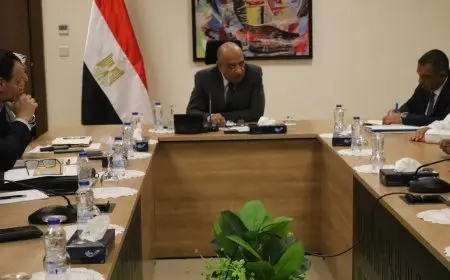 وزير الكهرباء يعلن عن 80 وحدة توليد متنقلة لضمان إمدادات الكهرباء حول المتحف المصري الكبير