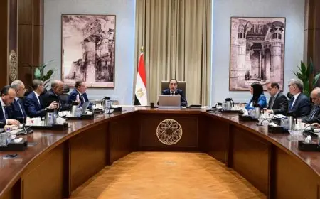 مدبولي يؤكد توجيهات عاجلة لإدخال مشروعات الطاقة المتجددة إلى الشبكة القومية للكهرباء