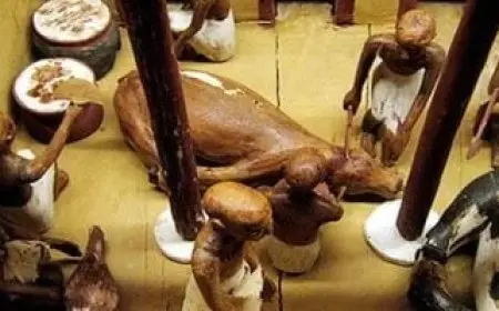 استكشف عادات المصريين الغذائية المثيرة قبل افتتاح المتحف المصري الكبير فيديو