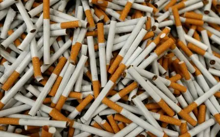 أحدث أسعار السجائر اليوم الجمعة 31 أكتوبر 2025 في الأسواق المصرية