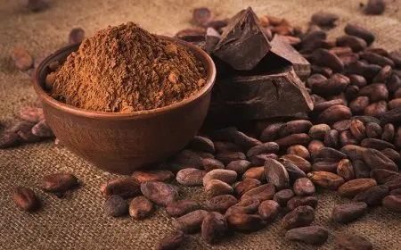 زيادة أسعار الكاكاو بنسبة 5% وسط مخاوف متزايدة بشأن المحاصيل عالميا