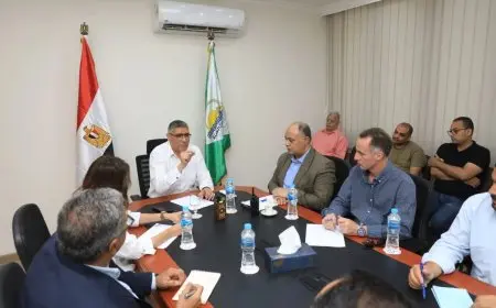 استعدادات مكثفة واستنفار شامل لمحافظ الجيزة قبل الافتتاح التاريخي للمتحف المصري الكبير