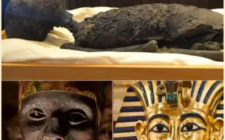 زاهي حواس يكشف حقيقة مقتل توت عنخ آمون وإجابات مثيرة حول وفاته