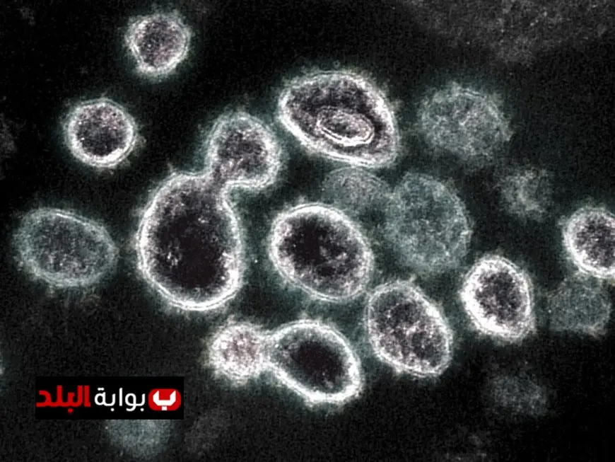متحدث الصحة يؤكد لا صحة لوجود فيروس HFMD وأعراضه ليست خطيرة على الصحة