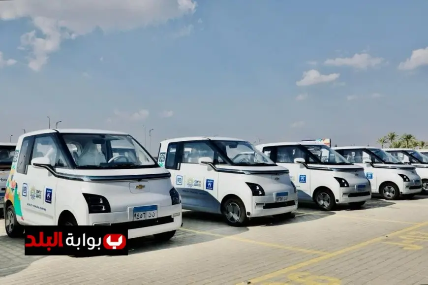 رئيس الحكومة يؤكد أهمية توطين صناعة السيارات الكهربائية في مصر لتحقيق التنمية المستدامة