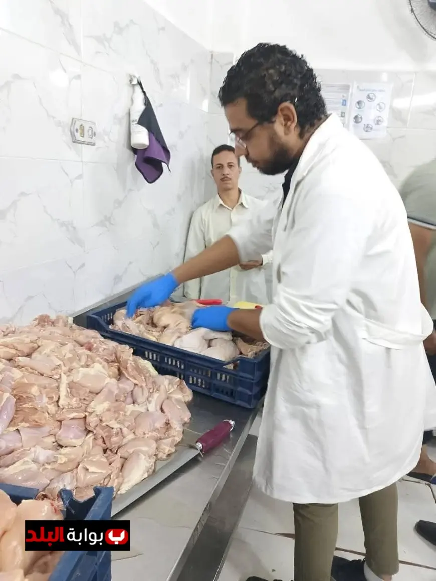 الزراعة تضبط 270 طن لحوم فاسدة وتحرر 981 محضرًا في سبتمبر