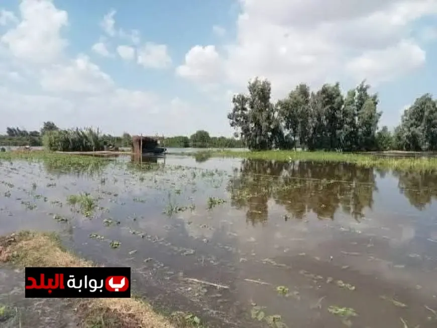أراضي طرح النهر تتبع حرم النيل وتواجه خطر الغمر عند ارتفاع المناسيب