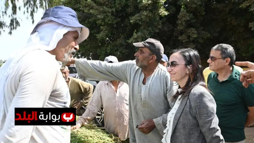 ارتفاع منسوب مياه نهر النيل يتسبب في تأثر 60 فدانا في البحيرة