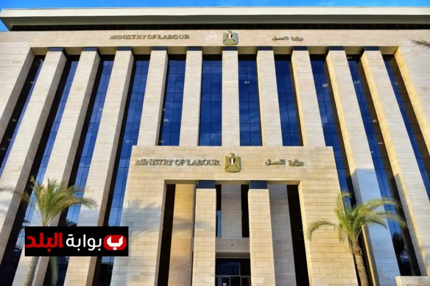 وزارة العمل تكشف عن 720 فرصة عمل جديدة في جميع المجالات تفاصيل الوظائف المتاحة