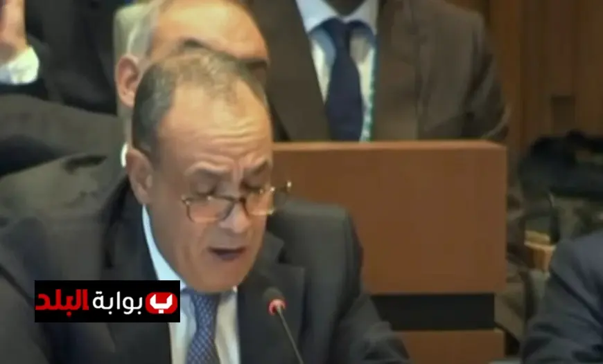 وزير الخارجية يعلن دعم دولي لخالد العناني في إدارة اليونسكو