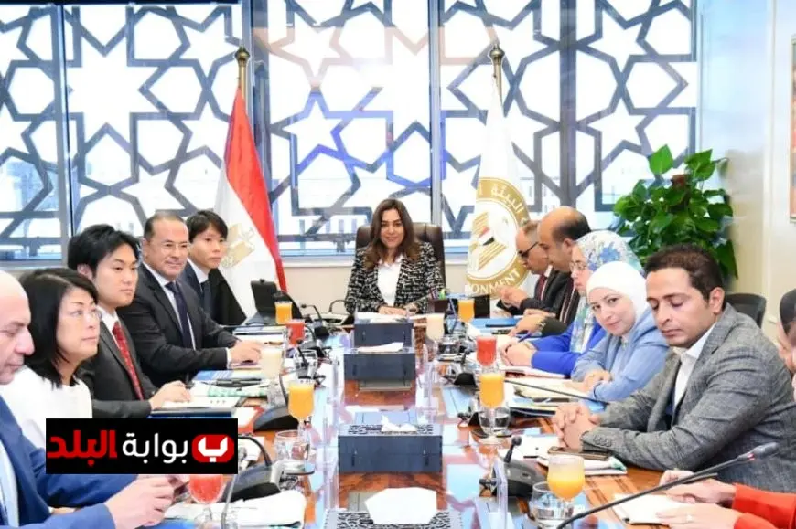 وزيرة التنمية المحلية تدعو إلى سرعة إنشاء مصانع بدائل البلاستيك في مدن مصرية متعددة