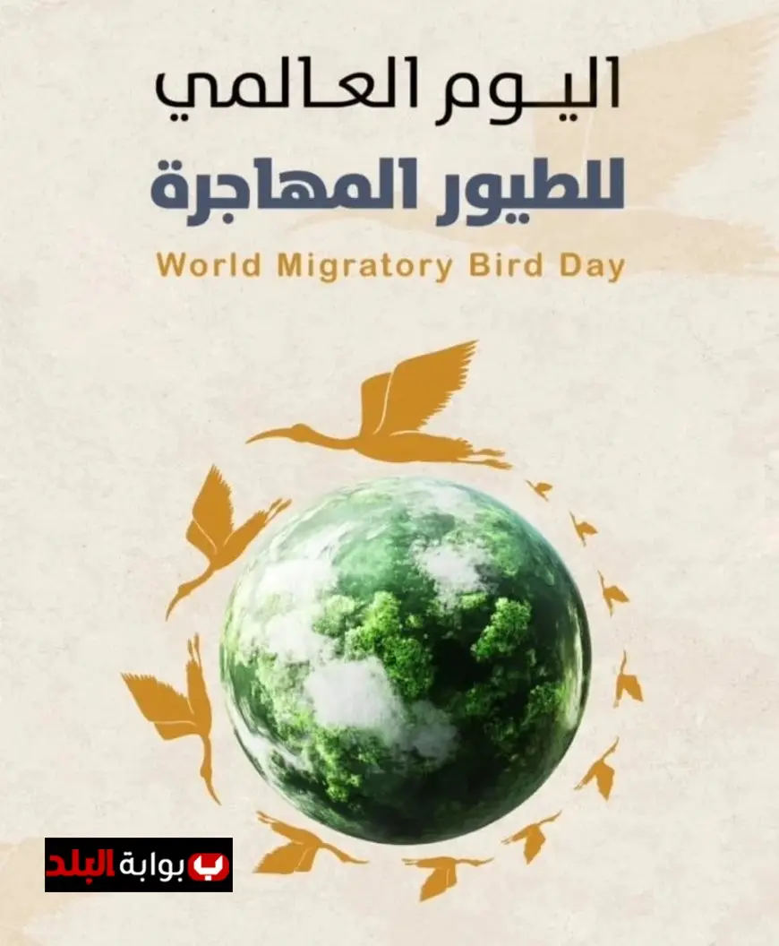 إزالة 18 ألف متر من الشباك غير القانونية لحماية الطيور المهاجرة في خطوة بيئية هامة