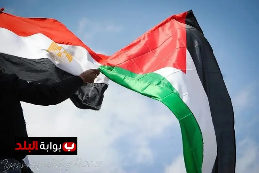 الشوا يدعو الجميع لدعم الجهود المصرية لحل الانقسام واستعادة الوحدة الوطنية
