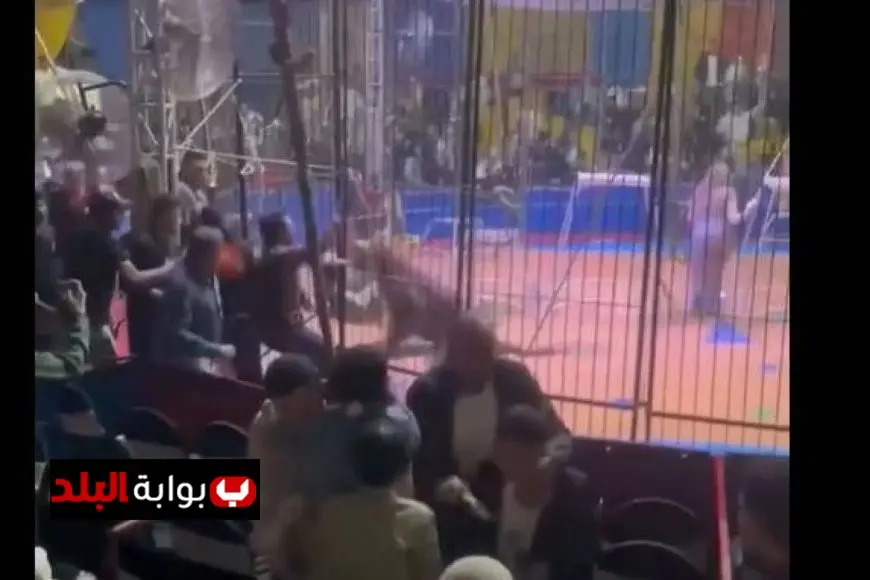أنوسة كوتة تكشف أسرار حادث سيرك طنطا وتوضح كيف لم يخطئ النمر