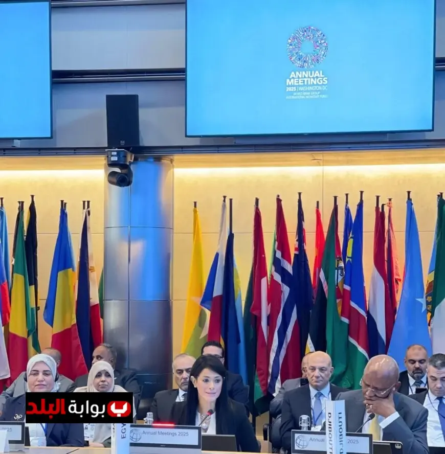 وزيرة التخطيط تدعو البنك الدولي لتعزيز الشراكات لدعم القطاع الخاص في مصر