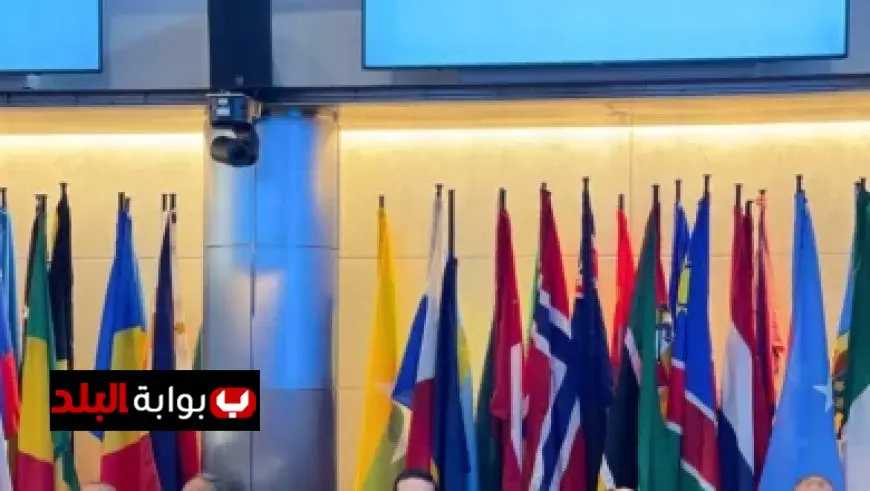 زواج دينا أبو الخير مسؤولية كبيرة وينبغي عدم الانشغال بالمظاهر المادية الزائلة