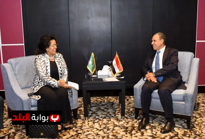 جهود دبلوماسية مصرية نشطة لتحقيق هدنة إنسانية في السودان