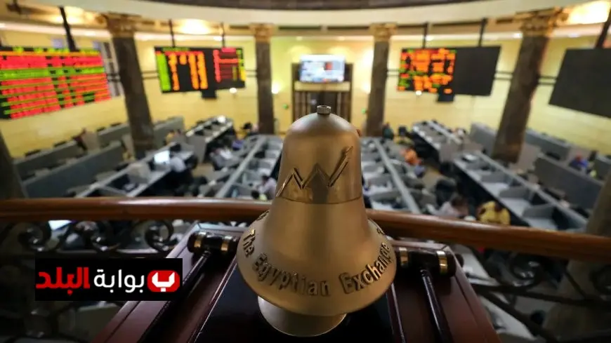 برنامج الطروحات الحكومية يضم 52 شركة وخبير اقتصادي يكشف التفاصيل المثيرة