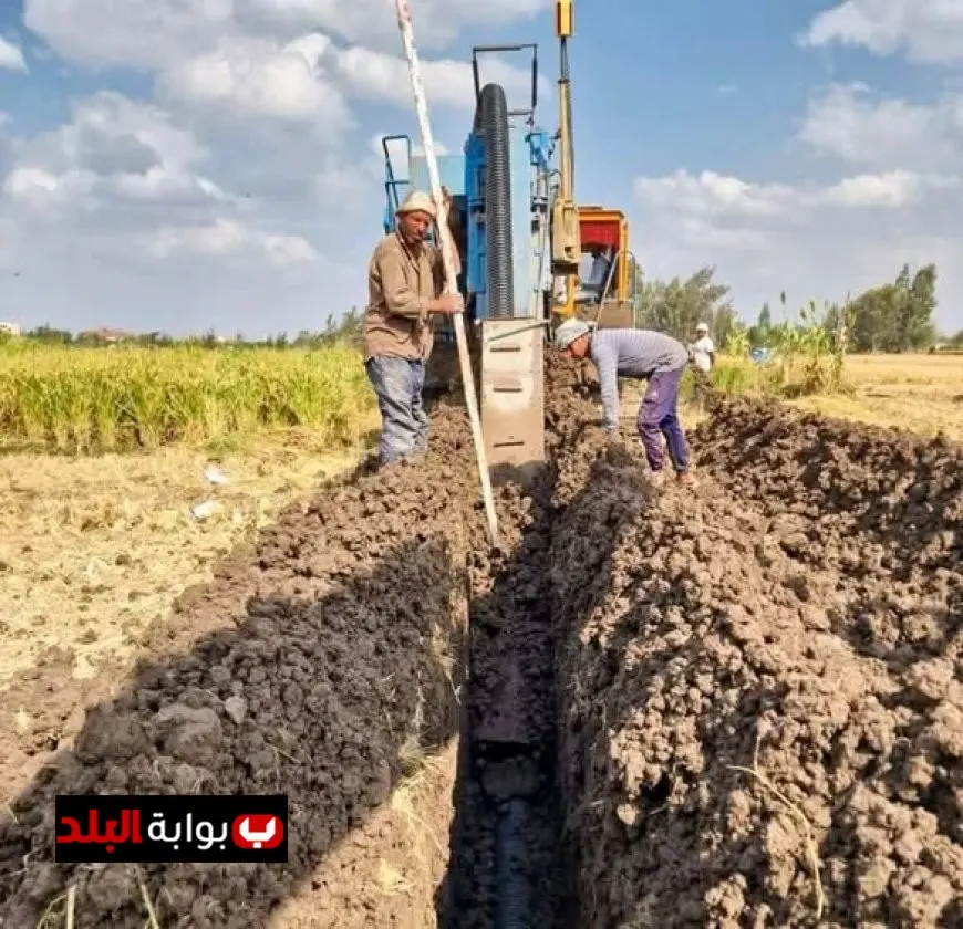وزير الري يعلن عن تطهير 8 آلاف كيلومتر من المصارف الزراعية لتعزيز كفاءتها