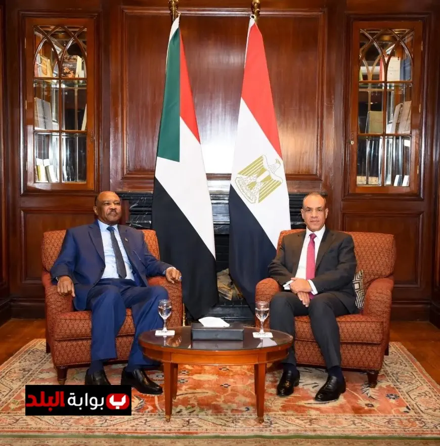 وزير الخارجية المصري يناقش تطورات الأوضاع في الفاشر مع نظيره السوداني ويؤكد دعم مصر للشعب السوداني